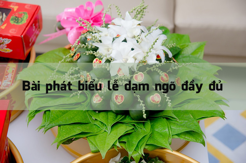 Bài phát biểu lễ dạm ngõ đầy đủ
