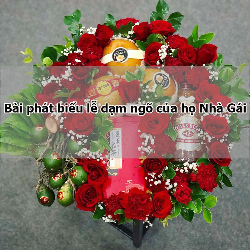 Bài phát biểu trong lễ dạm ngõ phía nhà gái