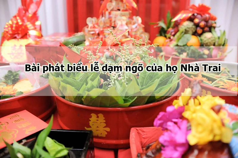 Bài phát biểu lễ dạm ngõ của họ nhà trai