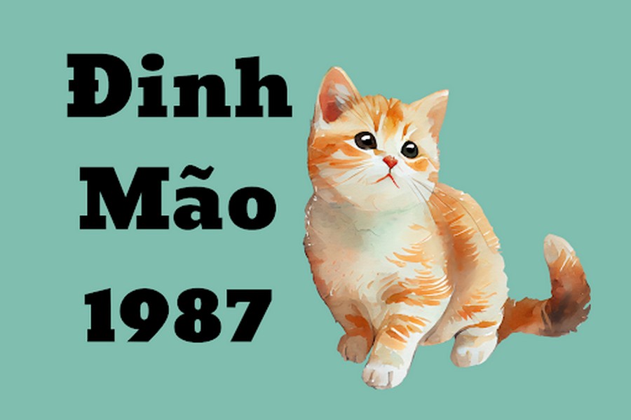 tuổi đinh mão khai trương năm 2024 Hoàng Khôi Production 